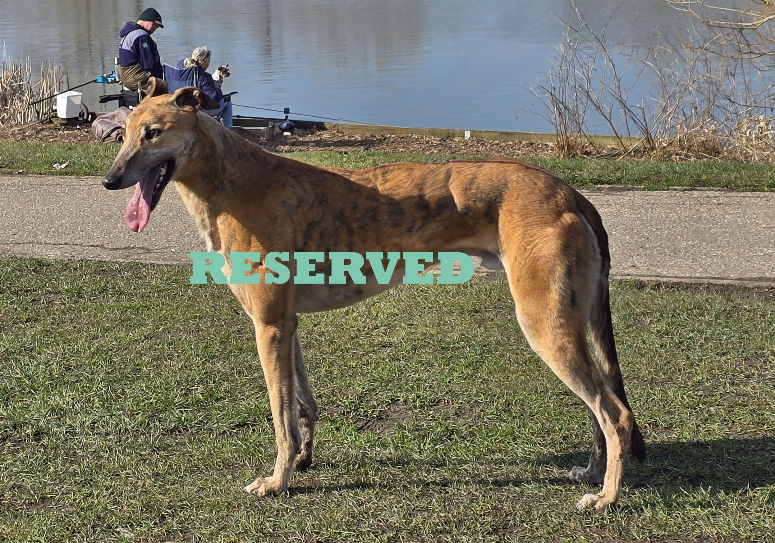 Ian 050325 reserved