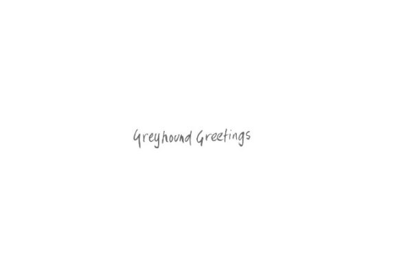 greyhound greetings