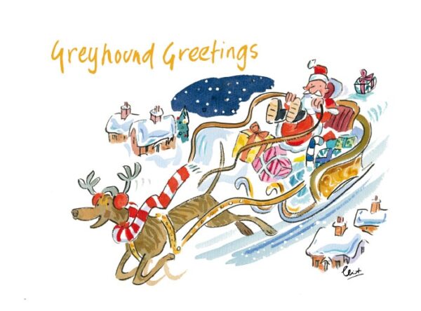 santa in sleigh