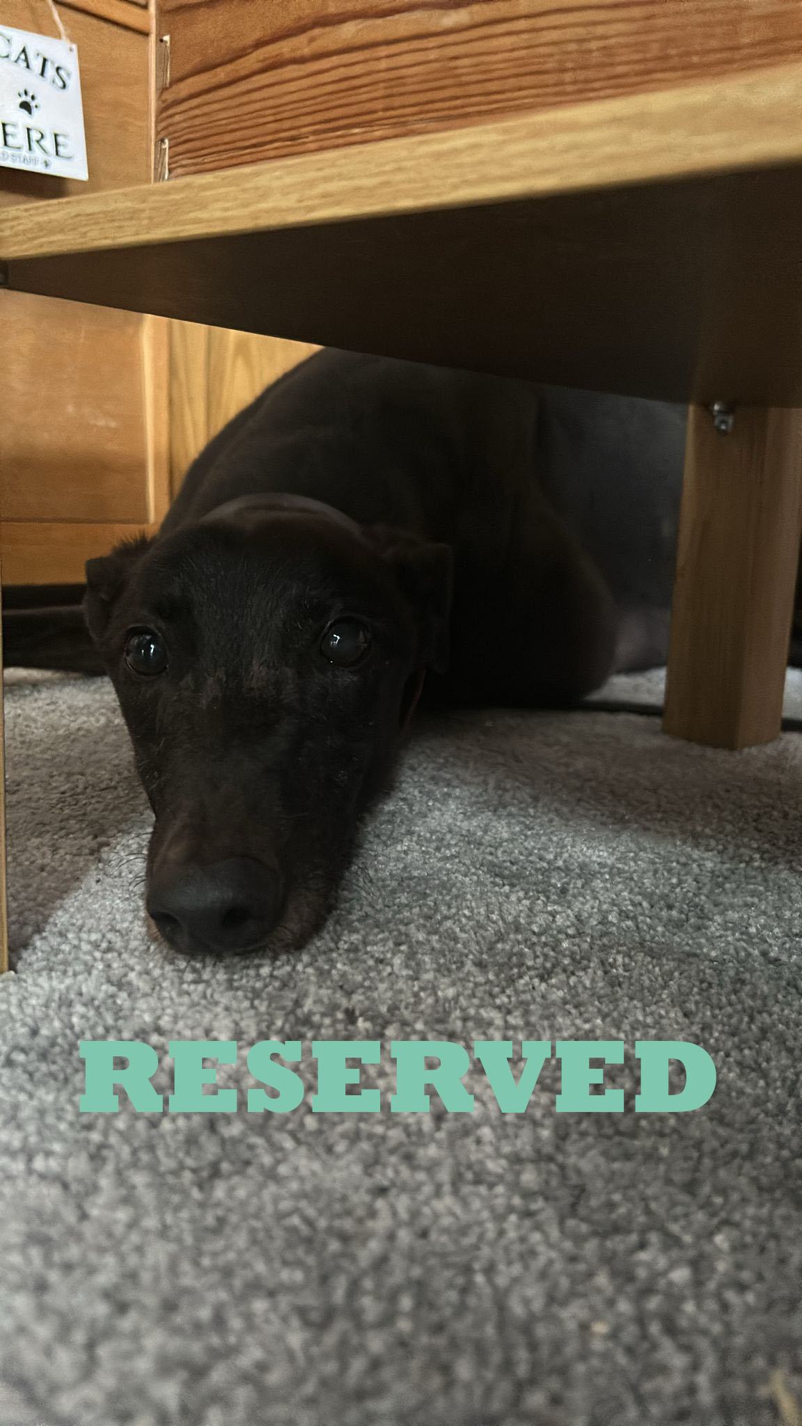 Teejay 5 copy reserved